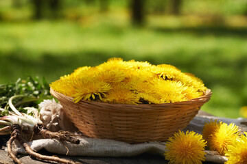 Dandelion flowers in a basket with dandelion root on a table outdoors