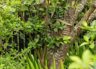 Wooden bee hotel or house peaked roof with empty nesting tunnels on garden tree