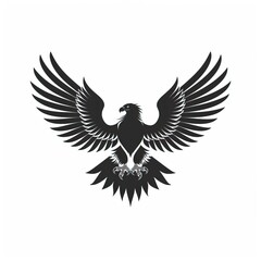 Obraz premium eagle with wings