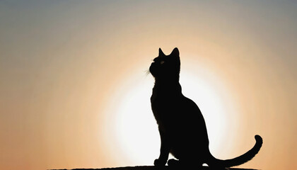 the silhouette of a cat. a black cat. World Cat Day