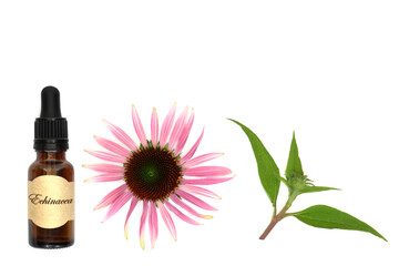 Echinacea for coughs colds and bronchitis. Alternative healing remedies with tincture bottle,...