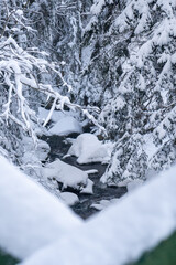 Szlak na Szrenice podczas zimowej wedrowki, Szklarska Poreba. Zimowa atmosfera, oszronione skaly, mglisty dzien. Gorski potok w lesie.