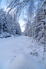 Szlak na Szrenice podczas zimowej wedrowki, Szklarska Poreba. Zimowa atmosfera, oszronione skaly,...