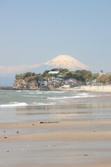 beach and fuji mountain