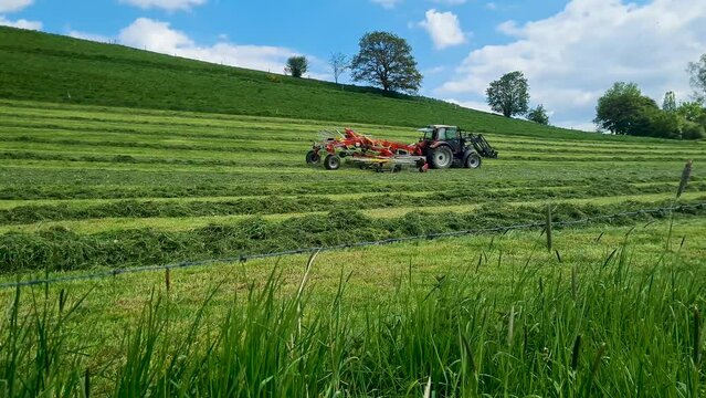Bauer m&auml;ht das Gras