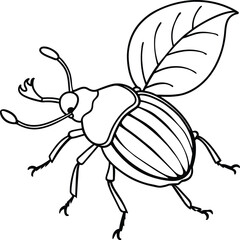 The beetle bug is an insect. A black and white coloring book. coloring pages for children. Insect coloring pages