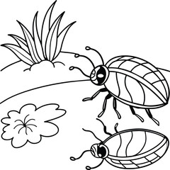 The beetle bug is an insect. A black and white coloring book. coloring pages for children. Insect coloring pages