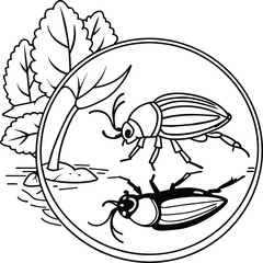 The beetle bug is an insect. A black and white coloring book. coloring pages for children. Insect coloring pages