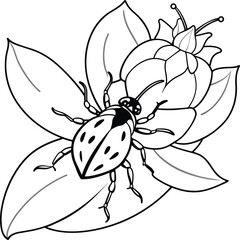 The beetle bug is an insect. A black and white coloring book. coloring pages for children. Insect coloring pages