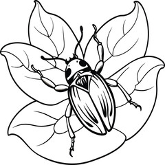 The beetle bug is an insect. A black and white coloring book. coloring pages for children. Insect coloring pages