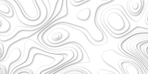 Fototapeta premium White papercut modern background and realistic decoration seamless textured with wavy multi layers and shadow, luxury white background 3d geometry circles with papercut and topographic map.