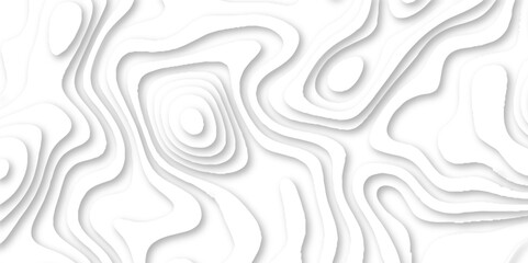 White papercut modern background and realistic decoration seamless textured with wavy multi layers and shadow, luxury white background 3d geometry circles with papercut and topographic map.