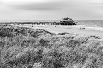 Blankenberge pier with beach and North Sea seen from sand dunes in black and white, West Flanders, Belgium.