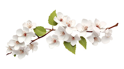 Condolence Card isolated on transparent png background. Generative ai