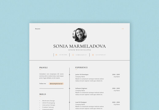 Classic and Clean Resume