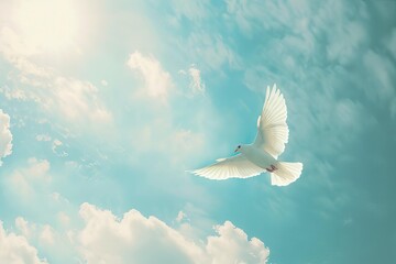 white dove flying in sky symbolizing freedom and peace funeral or memorial background with copy space