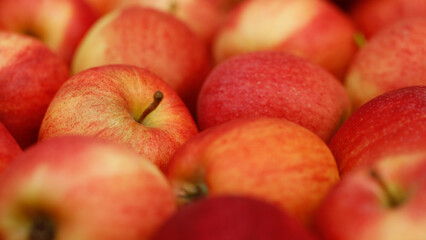 Apples