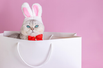 A funny white cat in a hat with bunny ears and a red bow tie, sits in large white paper bag