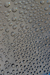 macro-photography of condensed water drops inside a bottle.