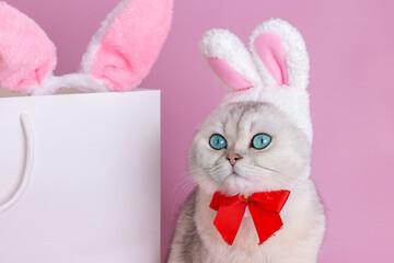 A funny white cat in a hat with bunny ears and a red bow tie sits next to a white paper bag