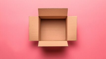 Open blank cardboard box on color background