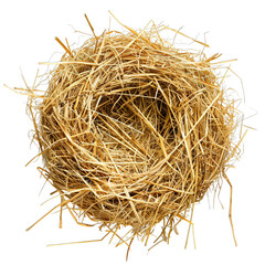 nest isolated on white