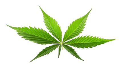 Marijuana Leaf isolated on transparent png background. Generative ai