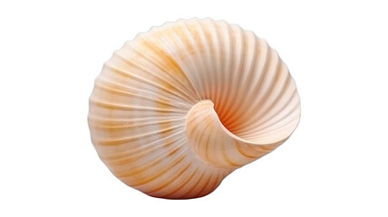 seashell isolated on transparent png background. Generative ai