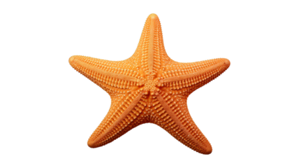 starfish isolated on transparent png background. Generative ai