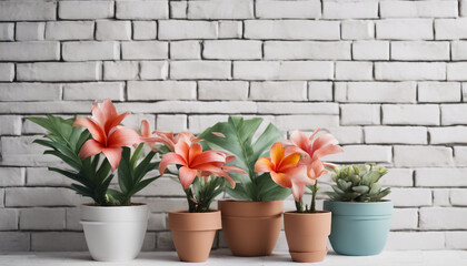 Tropical flowers in decorative clay pots on white brick wall, copy space for text
