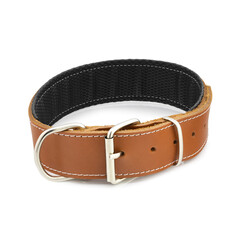 dog collar leather belt