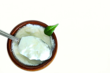 traditional indian yogurt dahi or curd,sour cream in pot,for make indian recipe sweet shrikhand,lassi,raita,curry,dahi vada,kadhi,biryani,puri chat,white background,copy space,top view