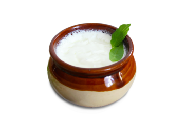 traditional indian yogurt dahi or curd,sour cream in pot,for make indian recipe sweet shrikhand,lassi,raita,curry,dahi vada,kadhi,biryani,puri chat,cutout in transparent background,png format    