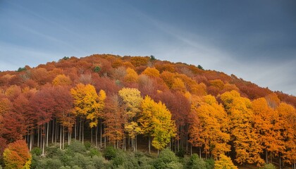 Obraz premium autumn in the mountains
