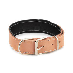 dog collar leather belt