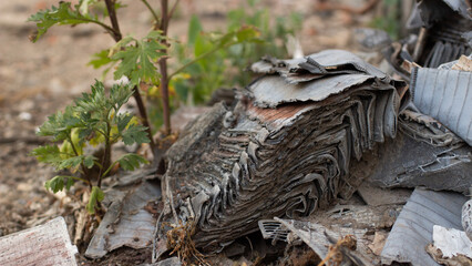 lead acid battery plates. ecological disaster