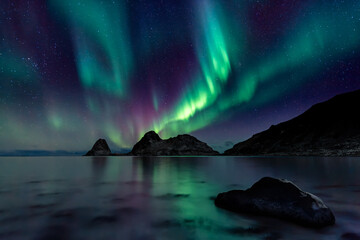 aurora borealis over the sea in Lofoten, Norway 