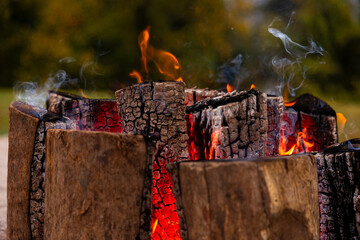 Bonfire and Fireplace