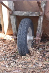 wheel barrow in the garden