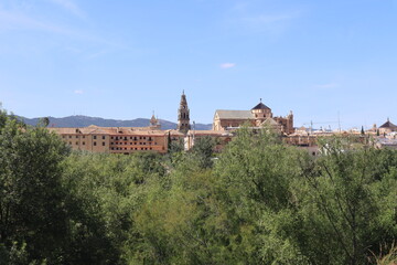  Cordoba. Andalusia. view with mosque