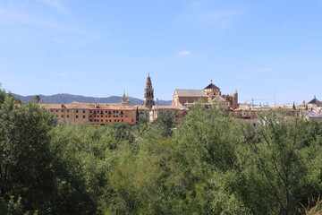 Obraz premium Cordoba. Andalusia. view with mosque