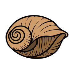 Clamshell Vector, Clamshell Summer Decoration, Seashell Summer Beach Vector Design