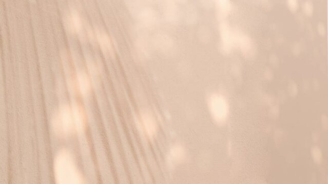 minimalist wall background with sun glare, tropical background with blurred silhouette shadow palm leaf, Minimal placement background, Creative product platform stage mockup, presentation