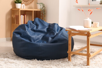 Interior of modern living room with bean bag chair