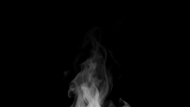 Trickle of Steam Slowly Rising from the Cup. White steam rises light, graceful twists on a black background. Slow motion. Footage is perfect for the layer with different blending modes.
