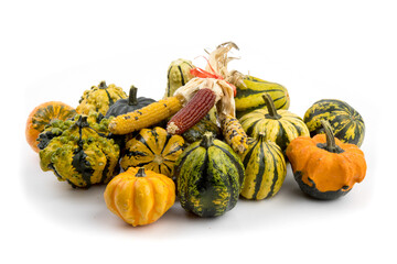 a pile of of small decorative gourds and Indian corn for thanksgiving isolated on white - Powered by Adobe