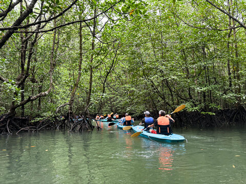 Kilim Geoforest Park mangrove kayak tour on a rainy day, overlooking some tourists in life jackets on Sungai in Malaysia, Langkawi 