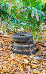 Old tires in the tropical nature garbage in Mexico.