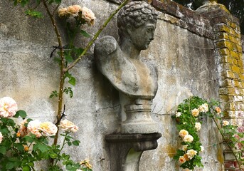 Classical Statue and Roses Attached to Garden Wall