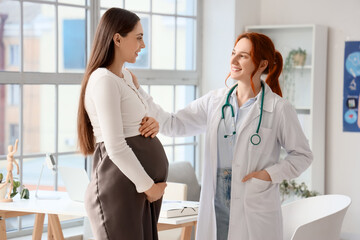 Female doctor talking to pregnant woman in clinic